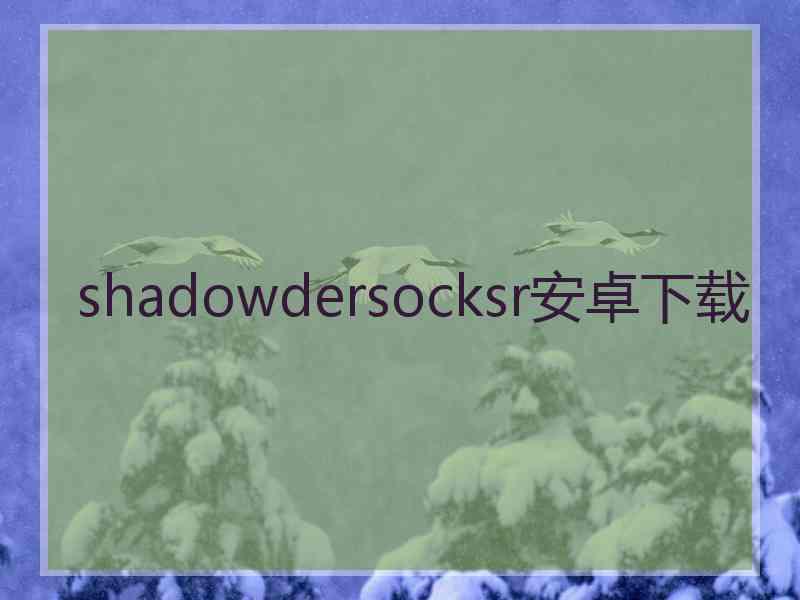 shadowdersocksr安卓下载