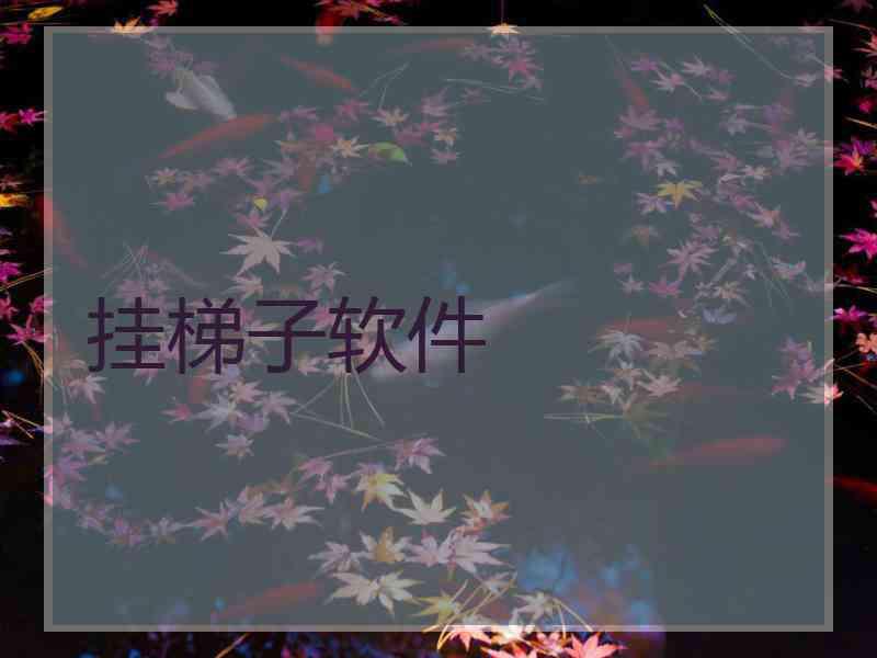 挂梯子软件