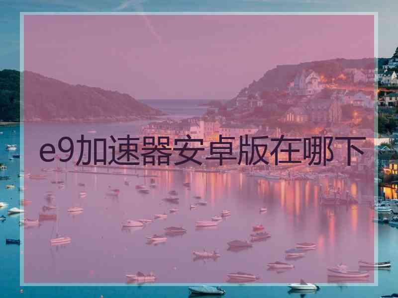 e9加速器安卓版在哪下