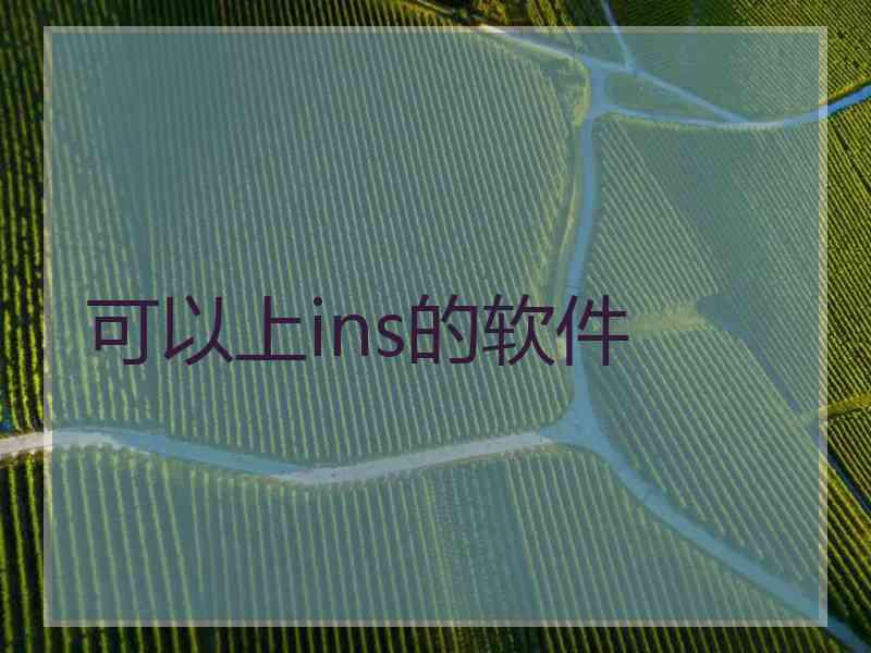 可以上ins的软件