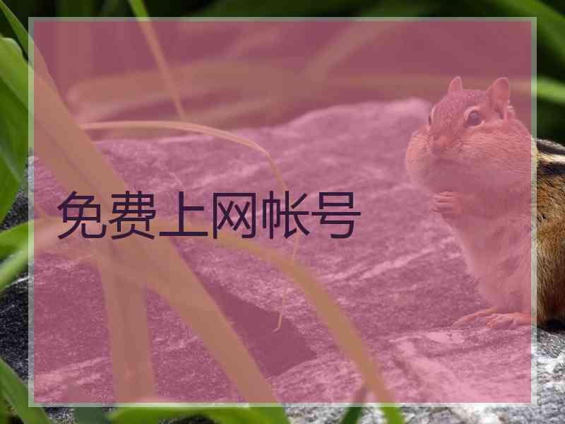 免费上网帐号