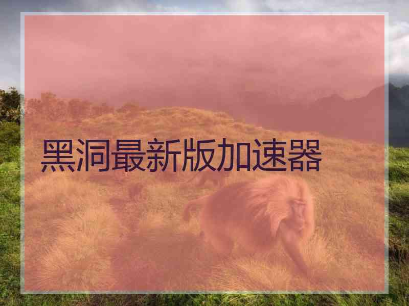 黑洞最新版加速器