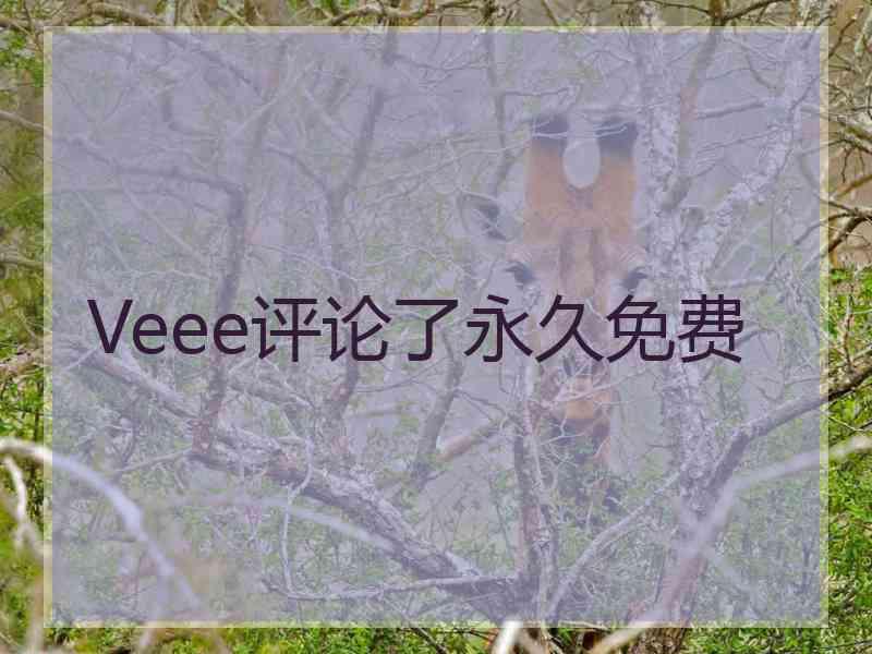 Veee评论了永久免费