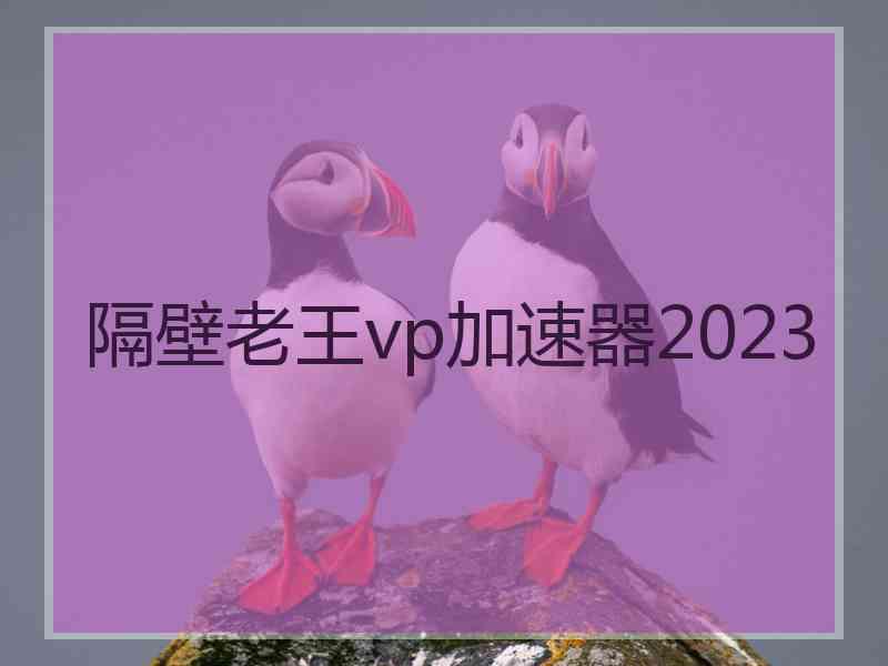 隔壁老王vp加速器2023