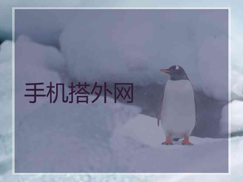 手机搭外网