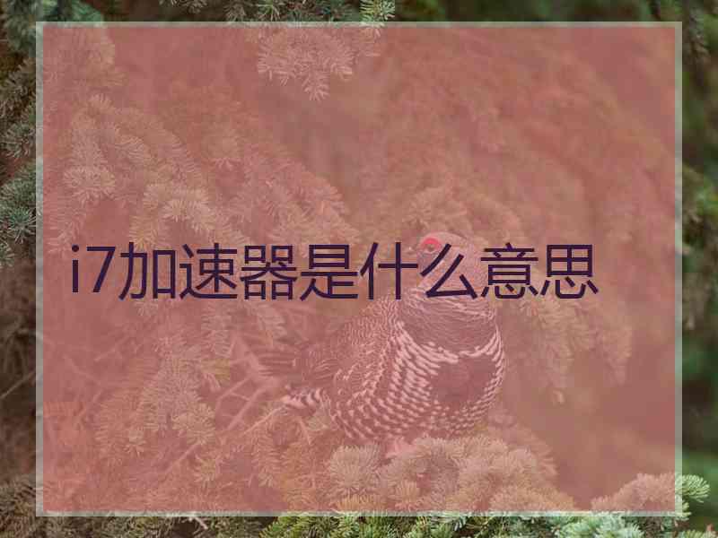 i7加速器是什么意思