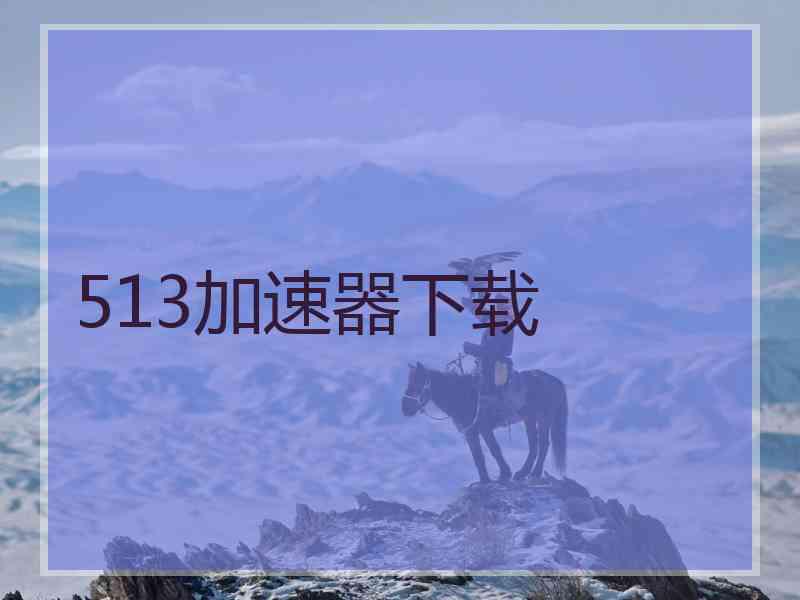 513加速器下载
