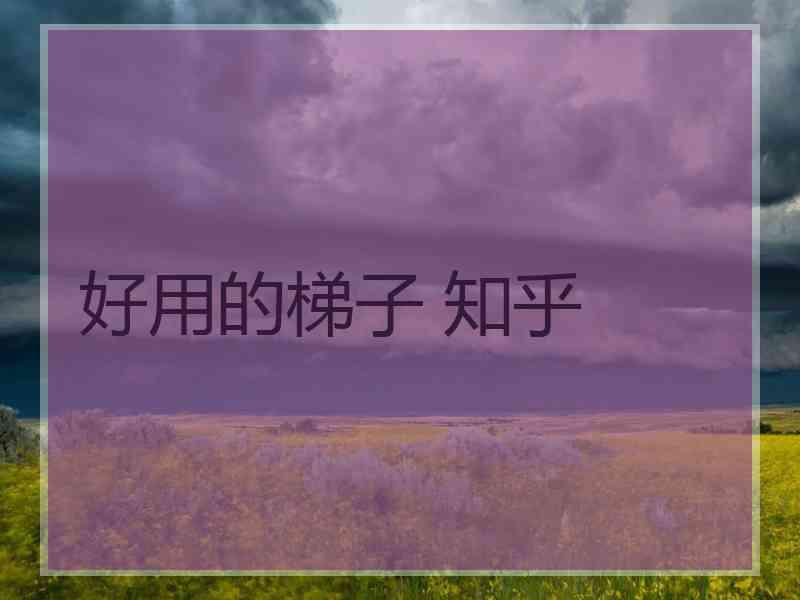 好用的梯子 知乎