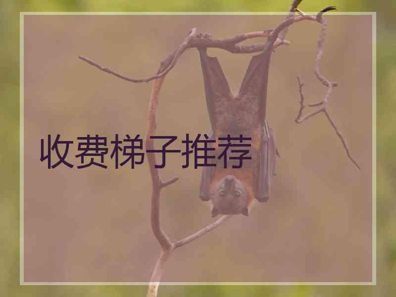 收费梯子推荐