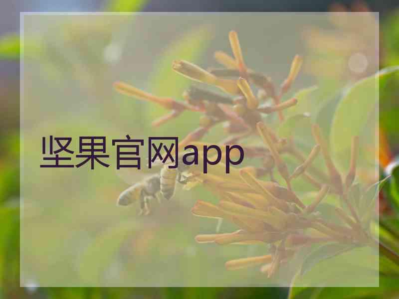 坚果官网app