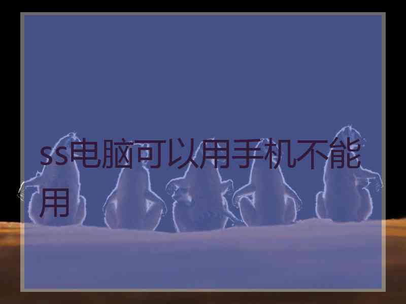 ss电脑可以用手机不能用