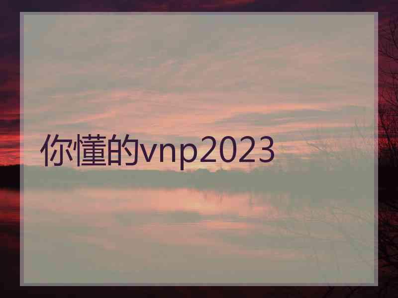 你懂的vnp2023