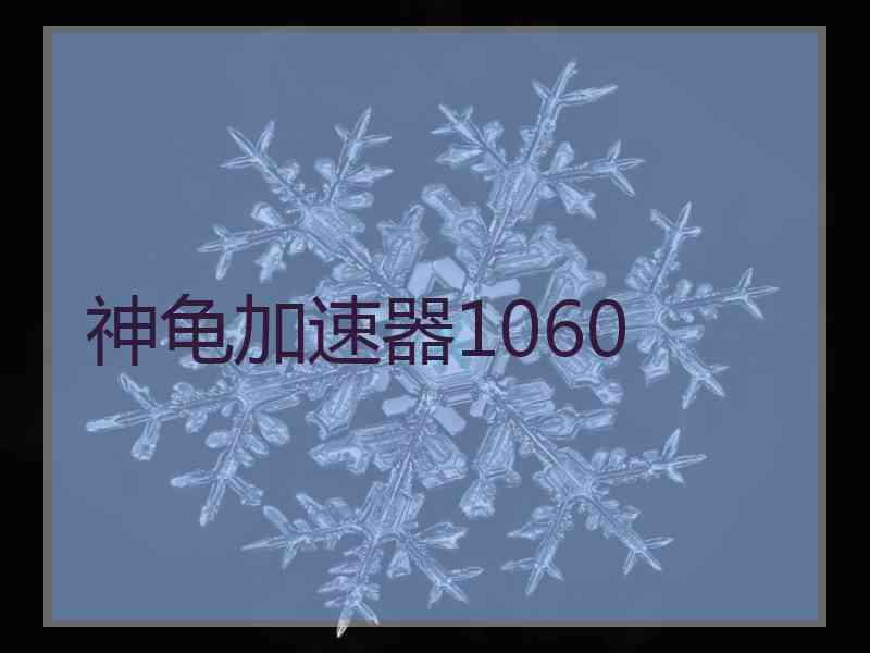 神龟加速器1060