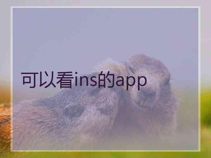 可以看ins的app