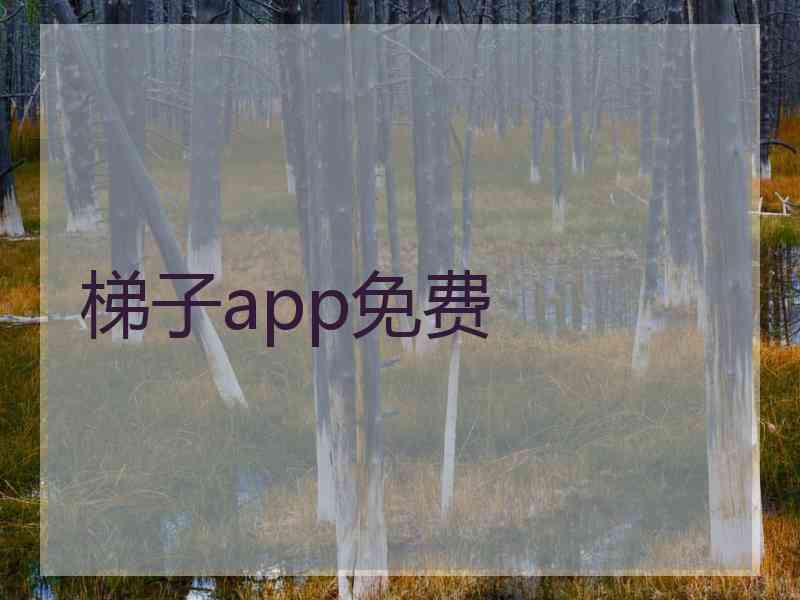 梯子app免费