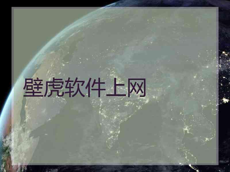 壁虎软件上网