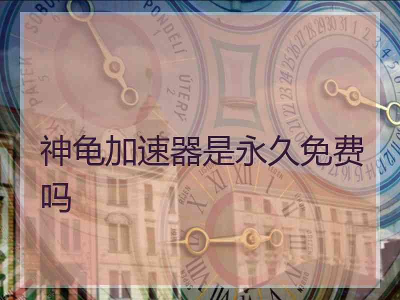 神龟加速器是永久免费吗