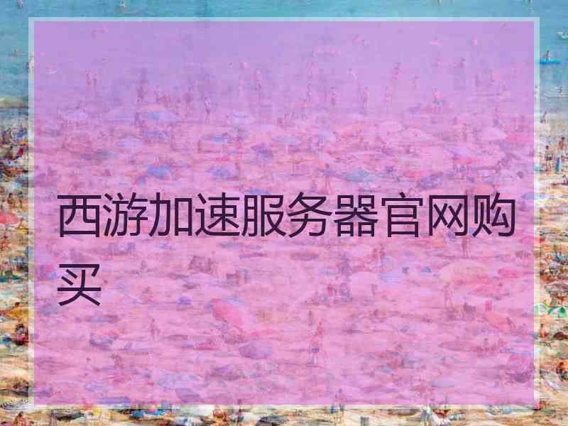 西游加速服务器官网购买