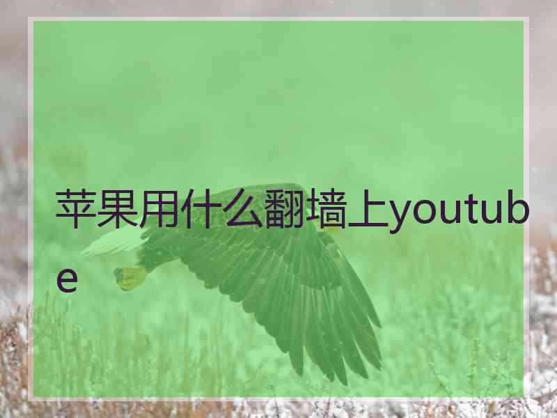 苹果用什么翻墙上youtube