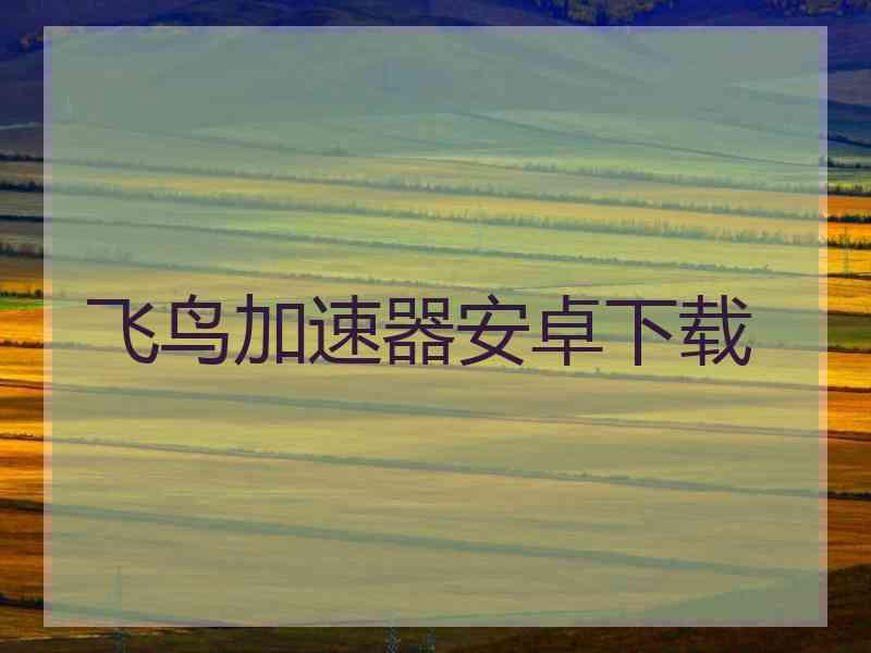 飞鸟加速器安卓下载
