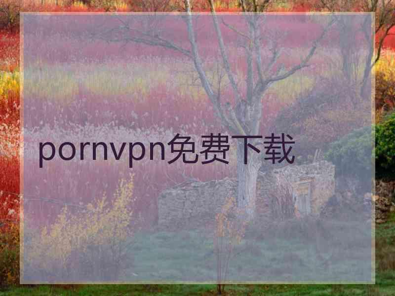 pornvpn免费下载