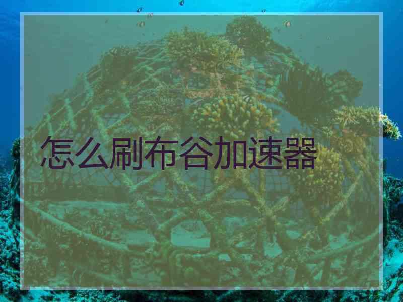 怎么刷布谷加速器