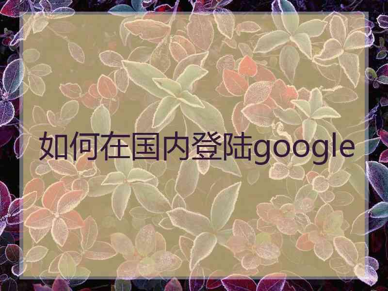如何在国内登陆google