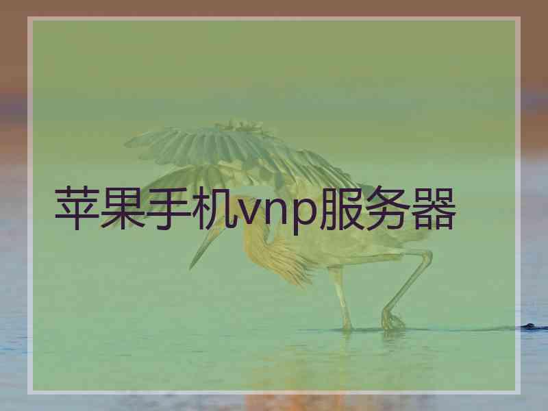 苹果手机vnp服务器