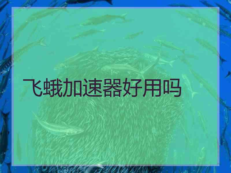 飞蛾加速器好用吗