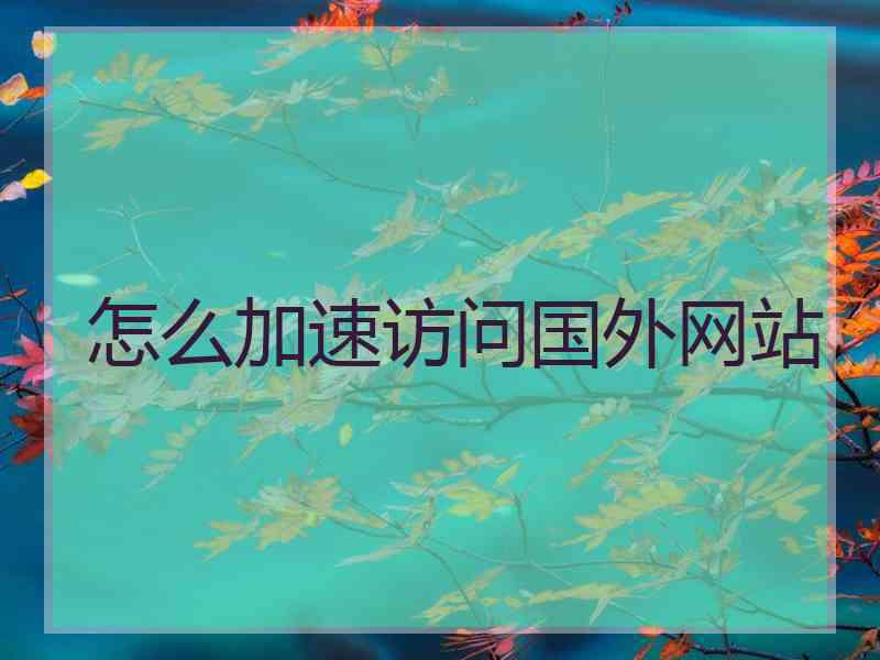 怎么加速访问国外网站