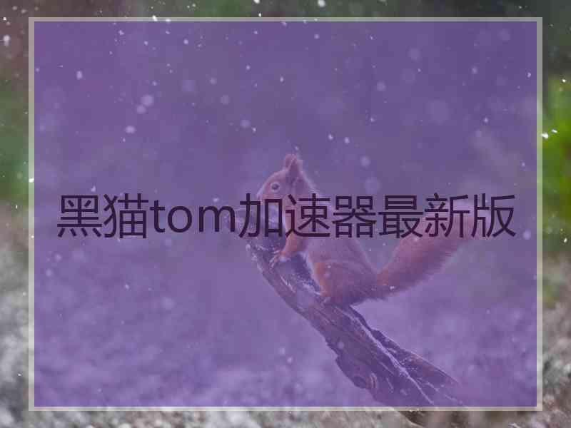黑猫tom加速器最新版