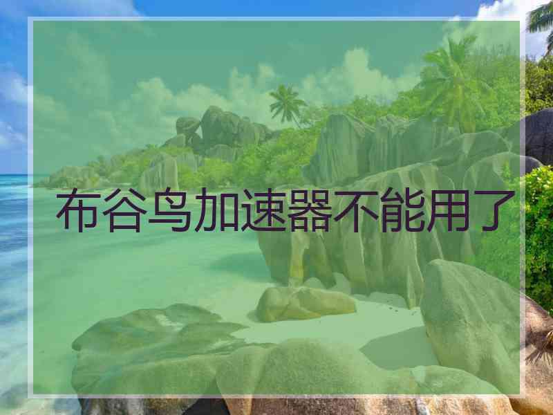 布谷鸟加速器不能用了