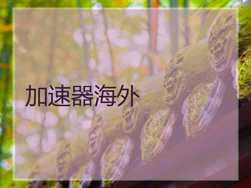 加速器海外