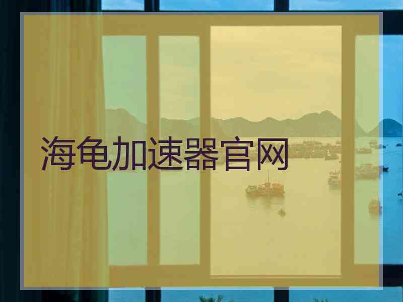 海龟加速器官网