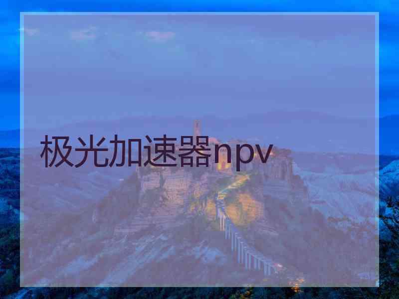 极光加速器npv