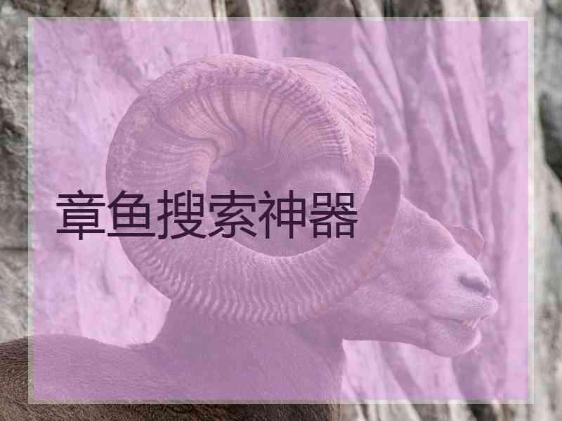 章鱼搜索神器