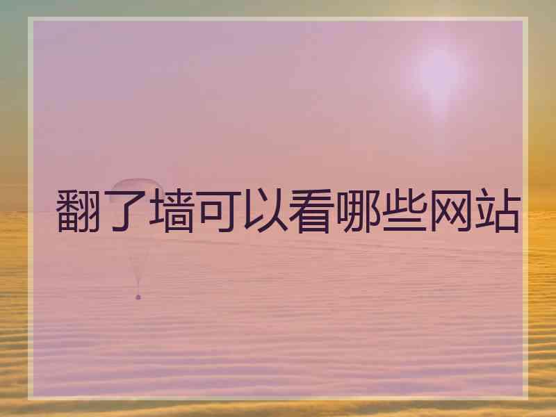 翻了墙可以看哪些网站