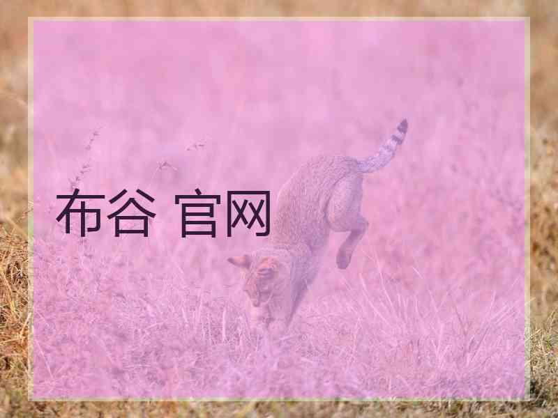 布谷 官网