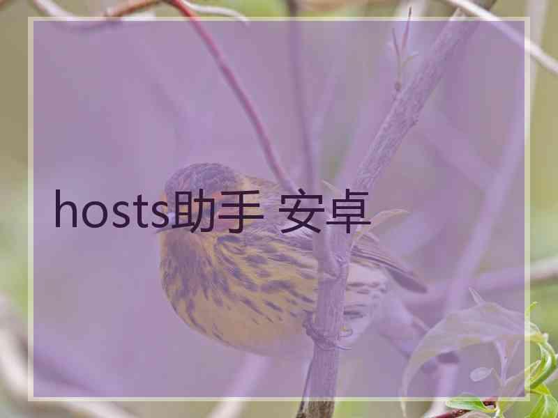 hosts助手 安卓