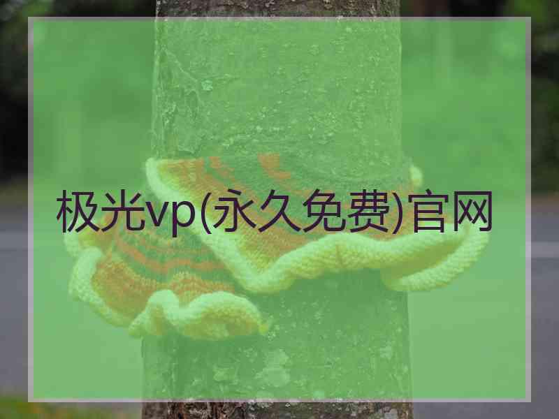 极光vp(永久免费)官网