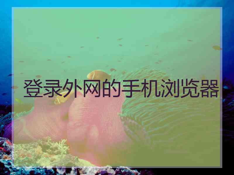 登录外网的手机浏览器