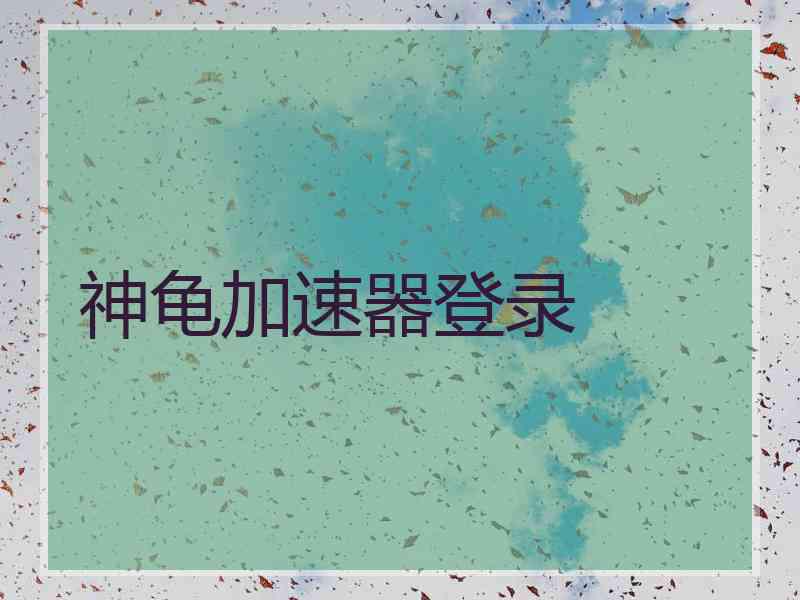 神龟加速器登录