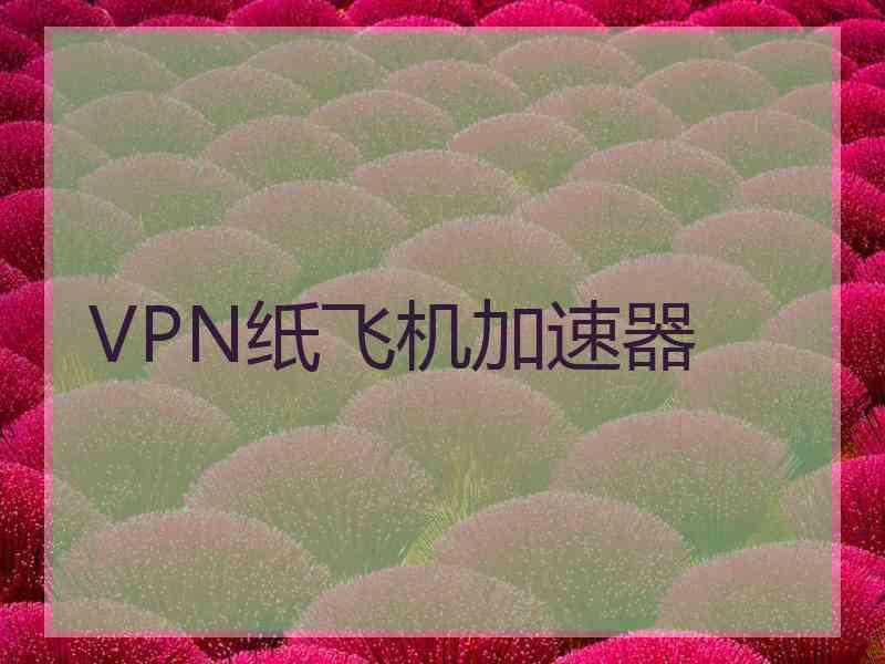 VPN纸飞机加速器