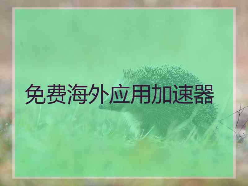 免费海外应用加速器