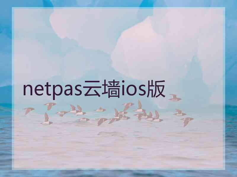 netpas云墙ios版