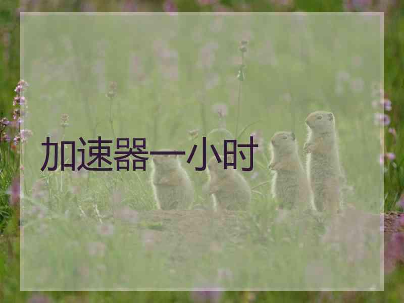 加速器一小时