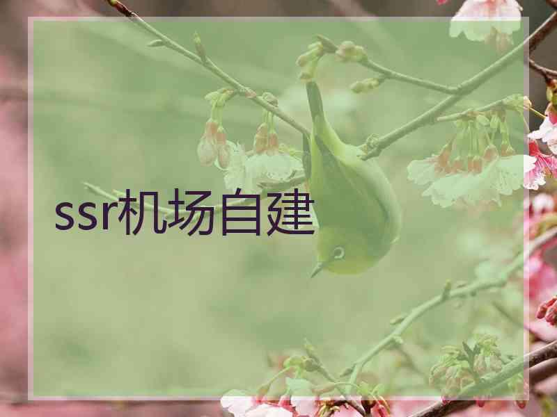 ssr机场自建