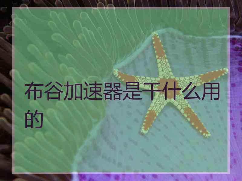 布谷加速器是干什么用的