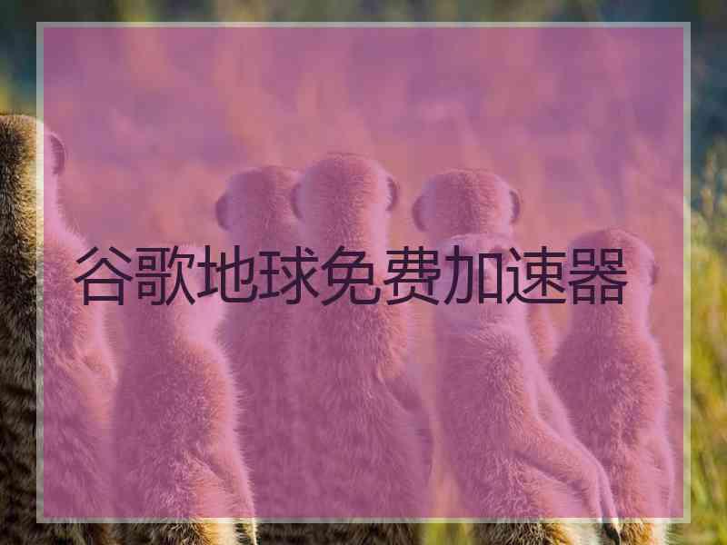 谷歌地球免费加速器
