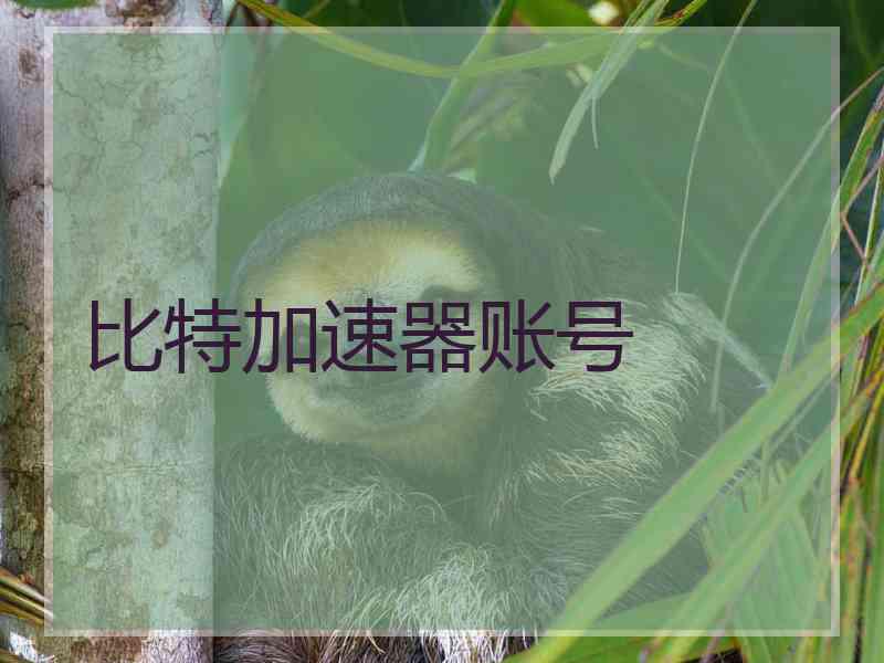 比特加速器账号
